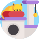 casa del gato icon