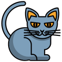 gato icon