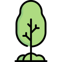 Árbol icon