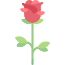 rosa icon