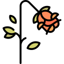 rosa icon