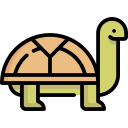 tortuga icon