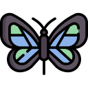 mariposa icon