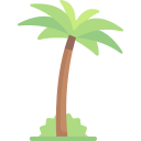 palmera