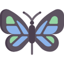 mariposa icon