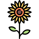 girasol icon