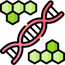 Dna 