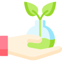 plante 
