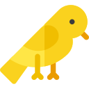 pájaro icon