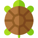 tortuga