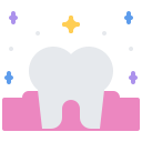 molar icon