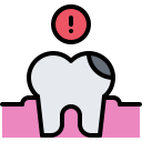 molar icon