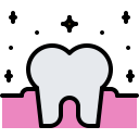 molar icon