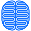 cerebro icon