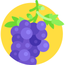 uvas icon