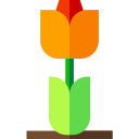 tulipán icon