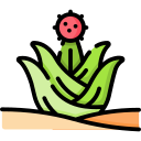 cactus icon