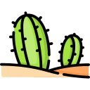 cactus icon