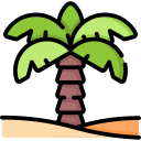 palmera icon