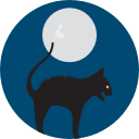 gato negro icon