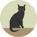 gato negro icon