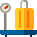 Scale icon