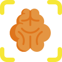 cerebro icon