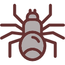 araña icon