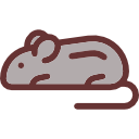 ratón icon