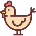 gallina icon