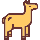 alpaca