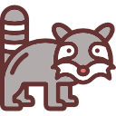 mapache icon