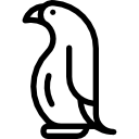 pingüino icon