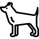 perro icon