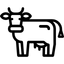 vaca 