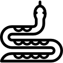 serpiente icon