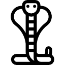 cobra icon