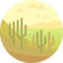 desierto icon