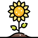 girasol icon