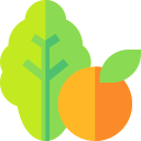 vegetales icon