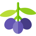 aceituna icon