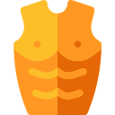 armadura icon