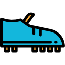 zapato icon