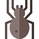 araña