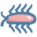 cucaracha icon