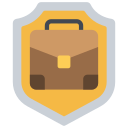 seguridad icon