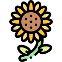 girasol icon