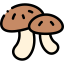 cogumelo icon