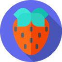 fresa icon