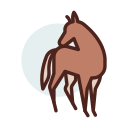 caballo icon